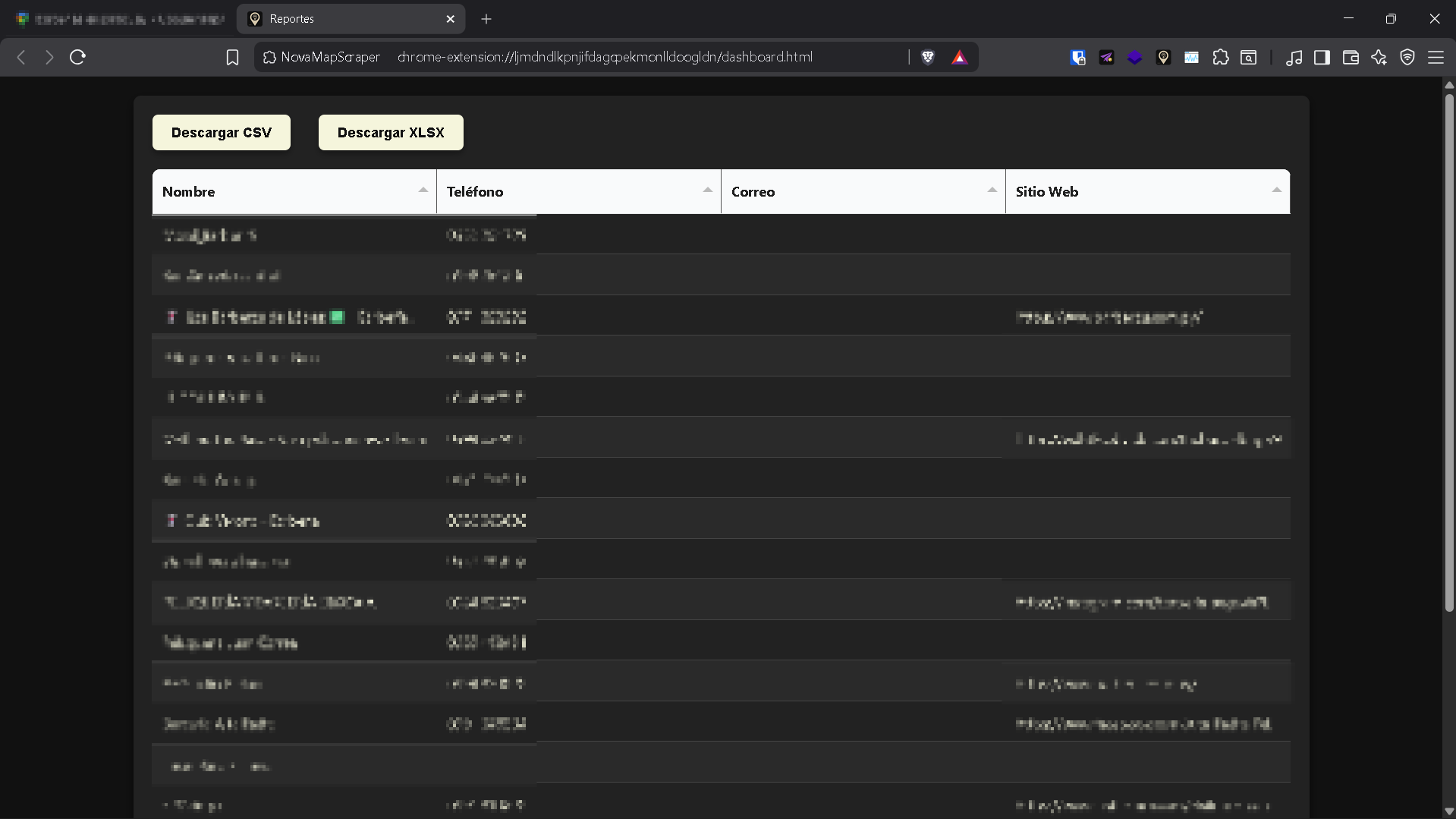 Reporte de Leads Exportado