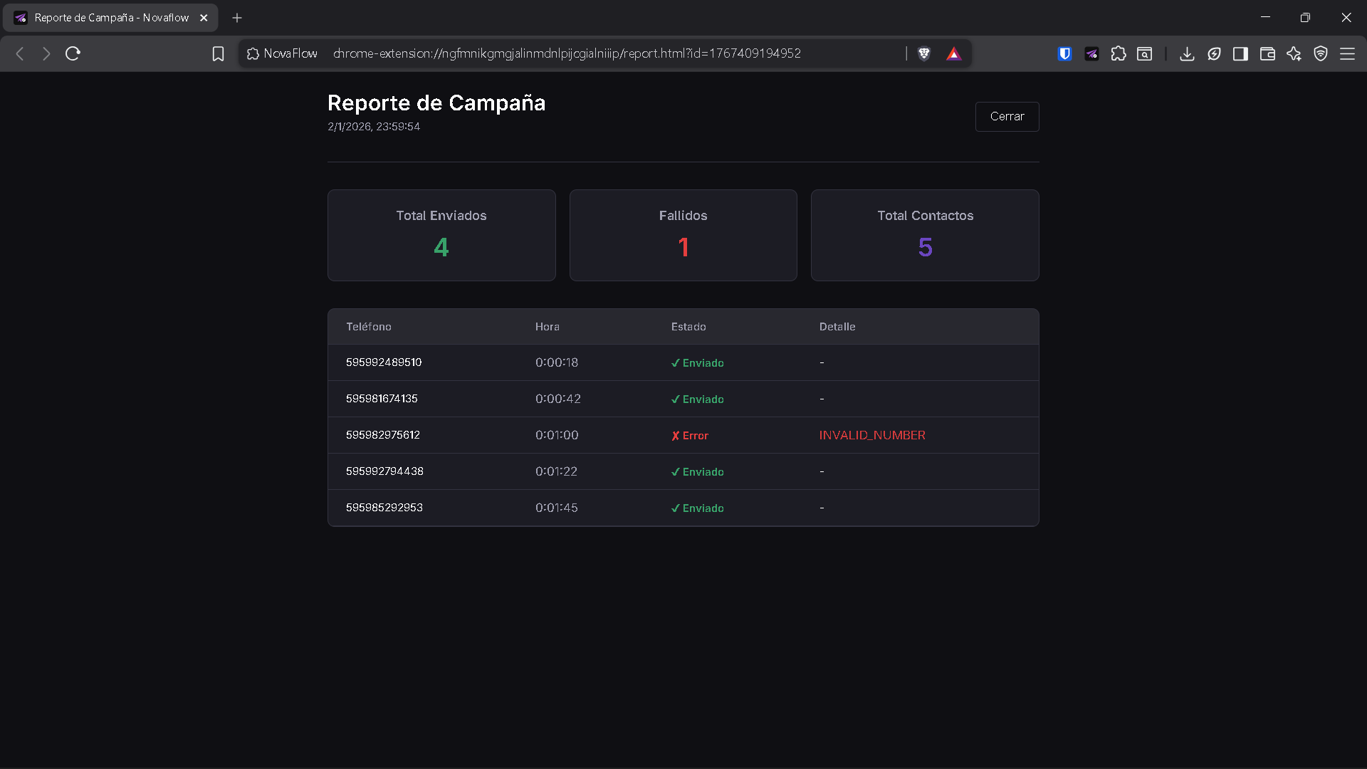 Reporte detallado de campaña